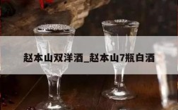 赵本山双洋酒_赵本山7瓶白酒